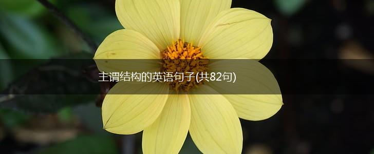 主谓结构的英语句子(共82句),第1张