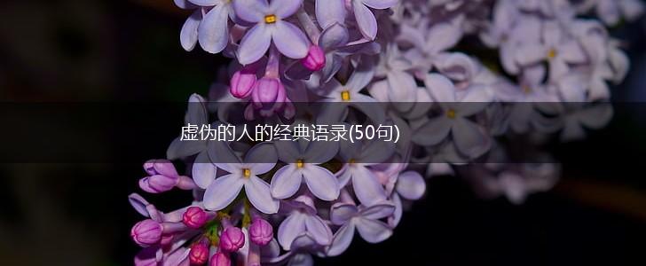 虚伪的人的经典语录(50句),第1张
