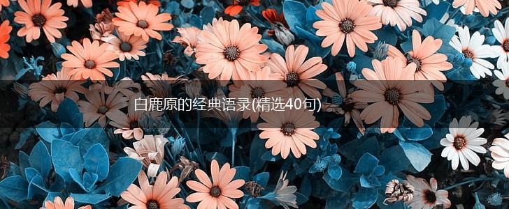 白鹿原的经典语录(精选40句),第1张