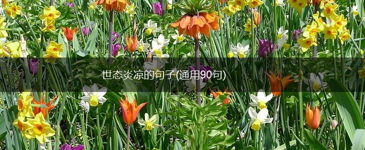 世态炎凉的句子(通用90句),第1张