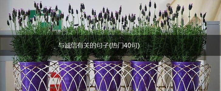 与诚信有关的句子(热门40句),第1张