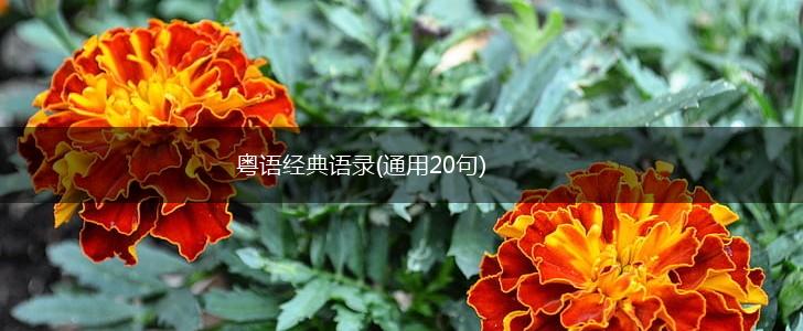 粤语经典语录(通用20句),第1张