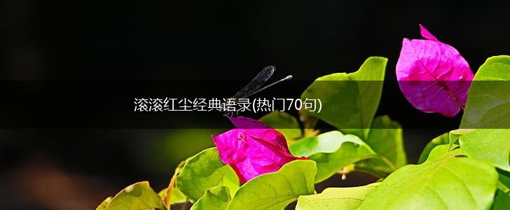滚滚红尘经典语录(热门70句),第1张
