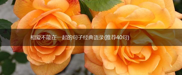 相爱不能在一起的句子经典语录(推荐40句),第1张