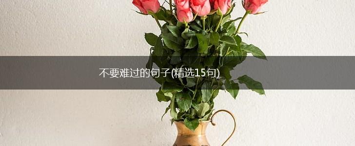 不要难过的句子(精选15句),第1张