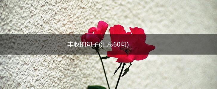 丰收的句子(汇总60句),第1张