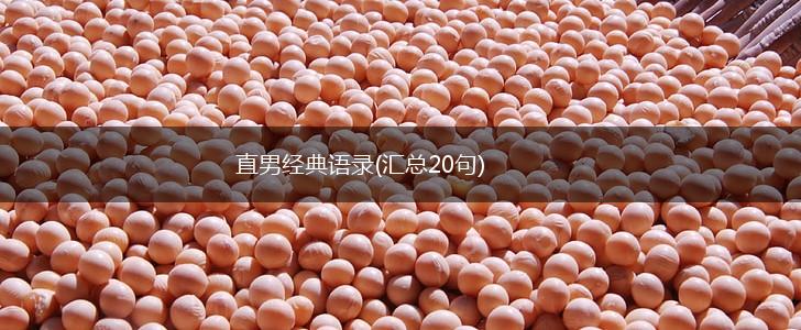 直男经典语录(汇总20句),第1张