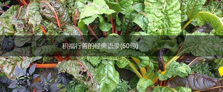 积福行善的经典语录(60句),第1张