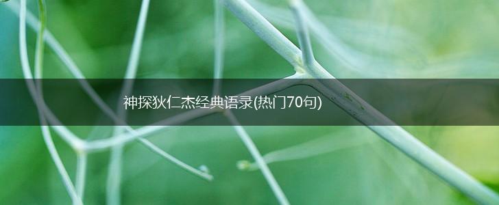 神探狄仁杰经典语录(热门70句),第1张