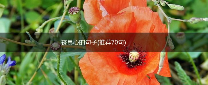 丧良心的句子(推荐70句),第1张