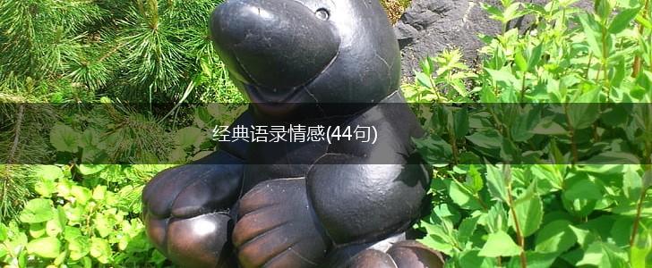 经典语录情感(44句),第1张