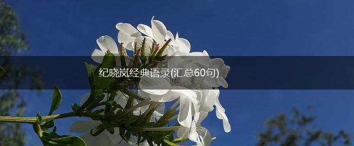 纪晓岚经典语录(汇总60句),第1张