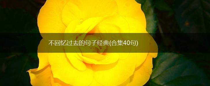 不回忆过去的句子经典(合集40句),第1张
