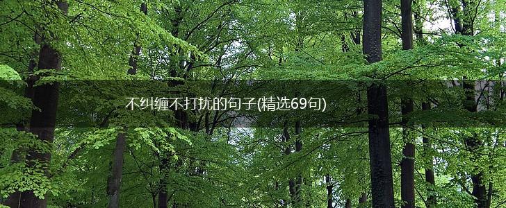 不纠缠不打扰的句子(精选69句),第1张