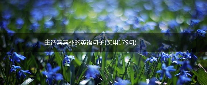 主谓宾宾补的英语句子(实用179句),第1张