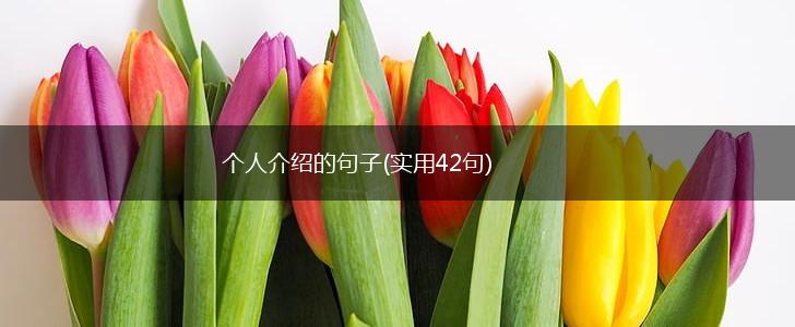 个人介绍的句子(实用42句),第1张