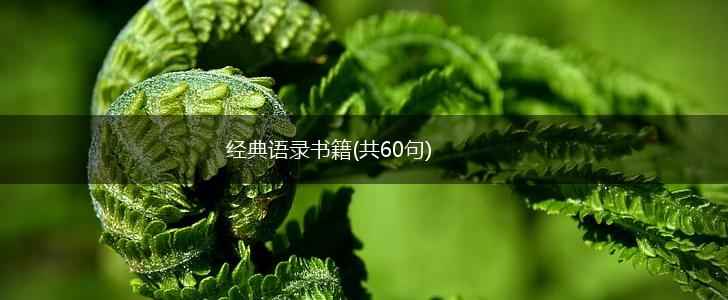 经典语录书籍(共60句),第1张