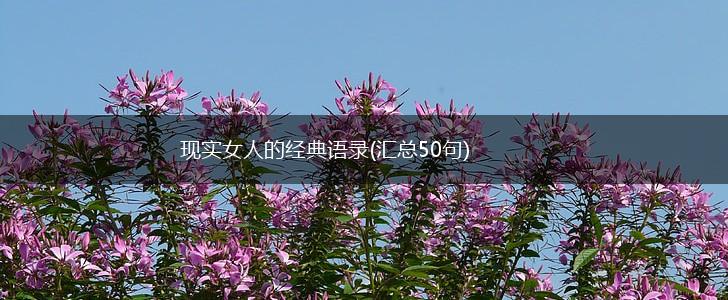 现实女人的经典语录(汇总50句),第1张
