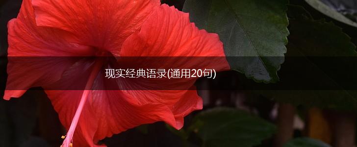 现实经典语录(通用20句),第1张