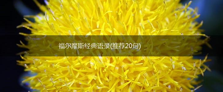福尔摩斯经典语录(推荐20句),第1张 福尔摩斯经典语录(推荐20句),第1张
