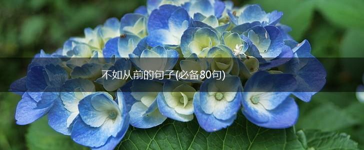 不如从前的句子(必备80句),第1张