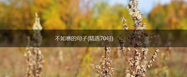 不如意的句子(精选70句),第1张