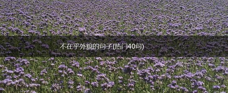 不在乎外貌的句子(热门40句),第1张