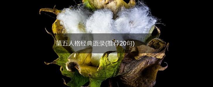 第五人格经典语录(推荐20句),第1张