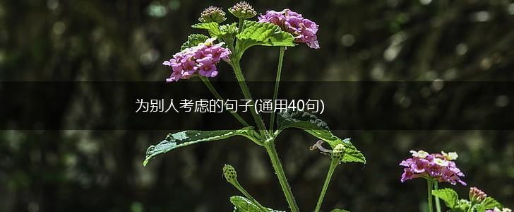 为别人考虑的句子(通用40句),第1张