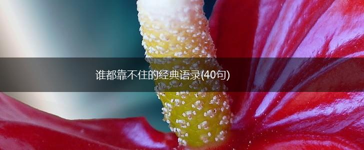 谁都靠不住的经典语录(40句),第1张