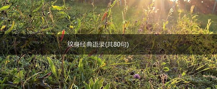 纹身经典语录(共80句),第1张