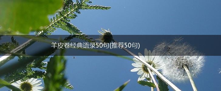 羊皮卷经典语录50句(推荐50句),第1张
