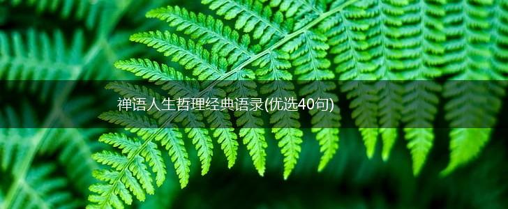 禅语人生哲理经典语录(优选40句),第1张