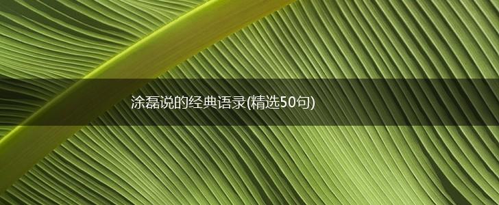 涂磊说的经典语录(精选50句),第1张 涂磊说的经典语录(精选50句),第1张