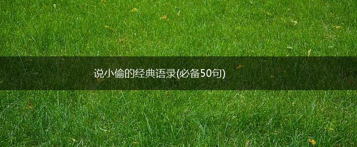 说小偷的经典语录(必备50句),第1张 说小偷的经典语录(必备50句),第1张