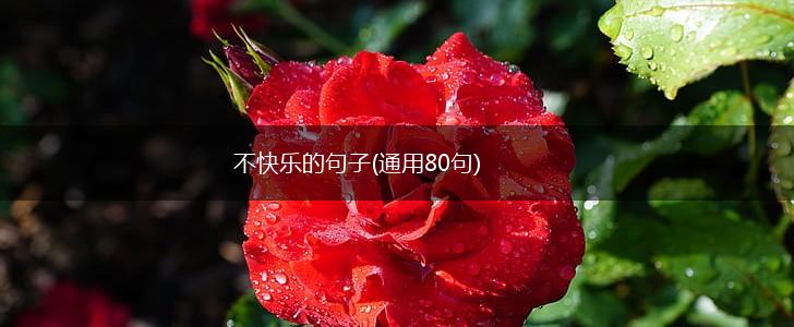 不快乐的句子(通用80句),第1张