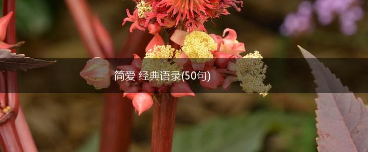 简爱 经典语录(50句),第1张