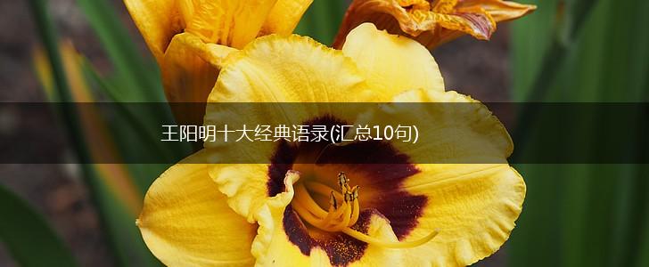 王阳明十大经典语录(汇总10句),第1张