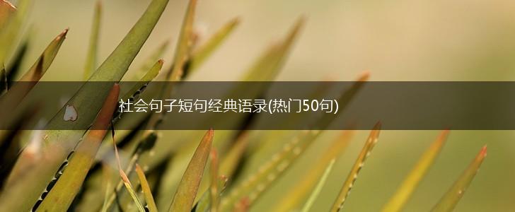 社会句子短句经典语录(热门50句),第1张