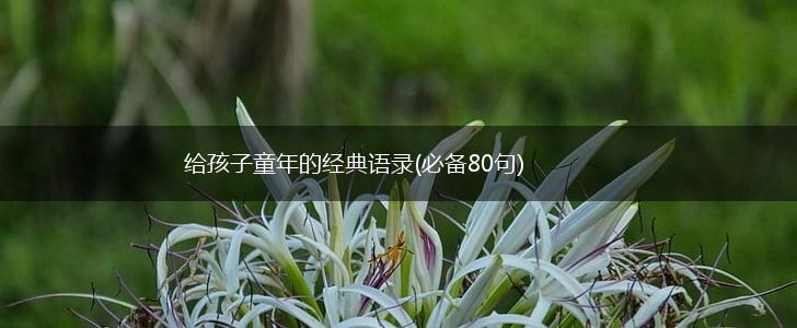 给孩子童年的经典语录(必备80句),第1张