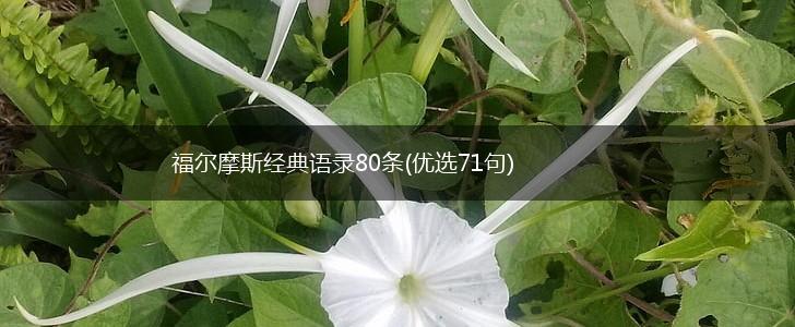 福尔摩斯经典语录80条(优选71句),第1张