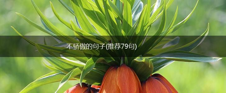 不骄傲的句子(推荐79句),第1张