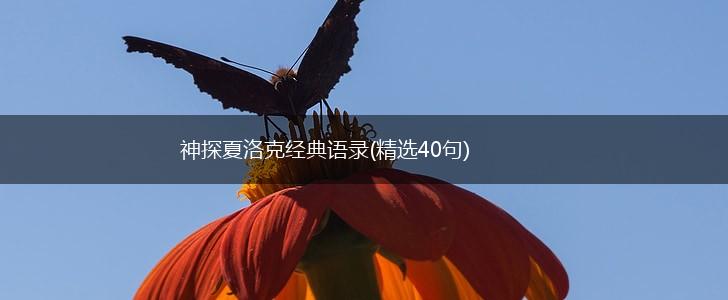 神探夏洛克经典语录(精选40句),第1张