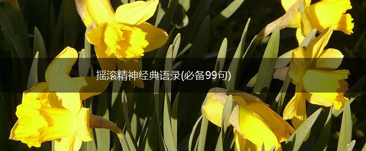 摇滚精神经典语录(必备99句),第1张