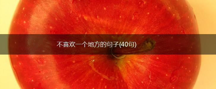 不喜欢一个地方的句子(40句),第1张