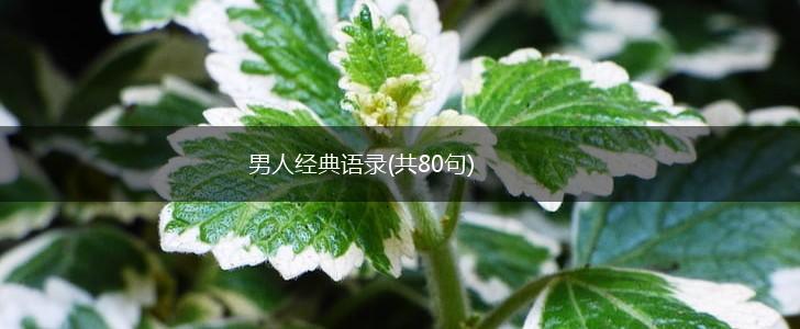 男人经典语录(共80句),第1张