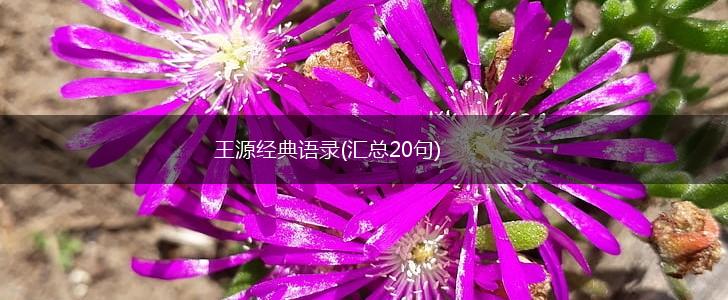 王源经典语录(汇总20句),第1张