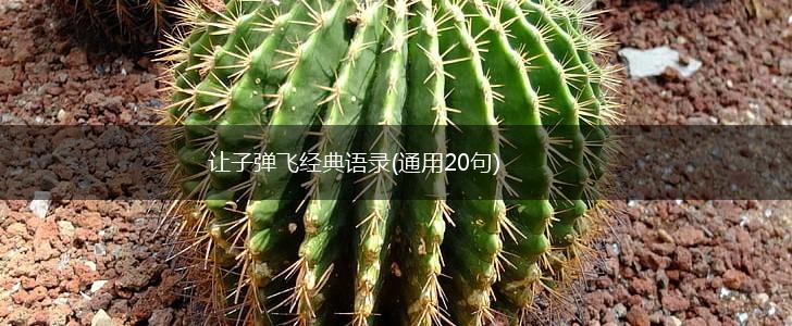 让子弹飞经典语录(通用20句),第1张