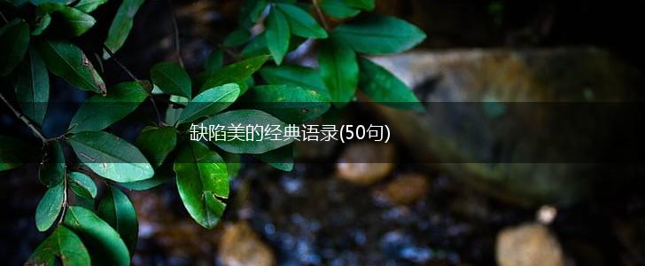 缺陷美的经典语录(50句),第1张