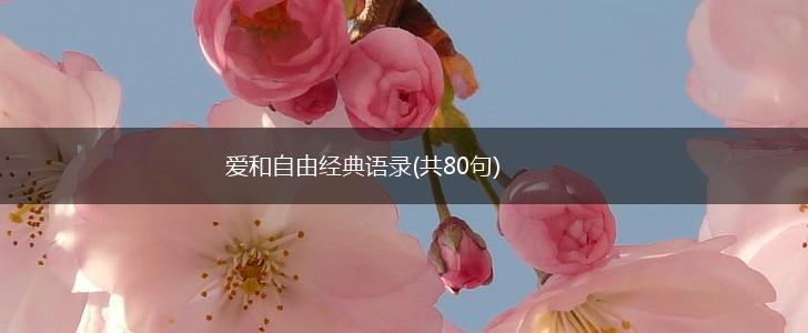 爱和自由经典语录(共80句),第1张